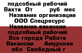 подсобный рабочий . Вахта. От 30 000 руб./мес. › Название организации ­ ООО Спецресурс › Название вакансии ­ подсобный рабочий - Все города Работа » Вакансии   . Амурская обл.,Свободный г.